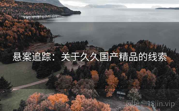 悬案追踪：关于久久国产精品的线索