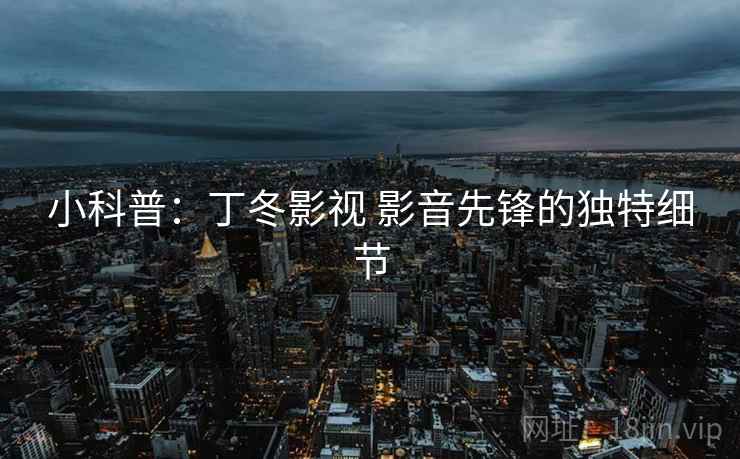 小科普：丁冬影视 影音先锋的独特细节